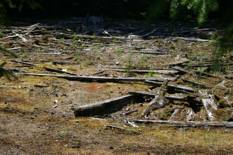 062204 Skagway (10036)